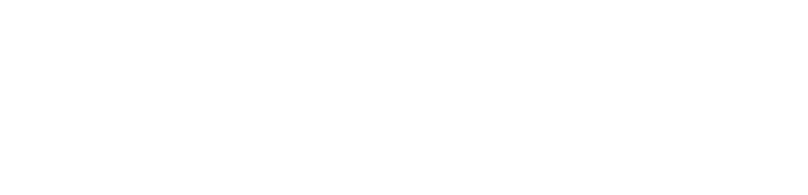 Sport pro logo