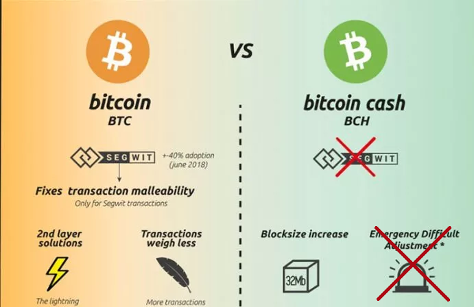 Difference between BTC and BCH