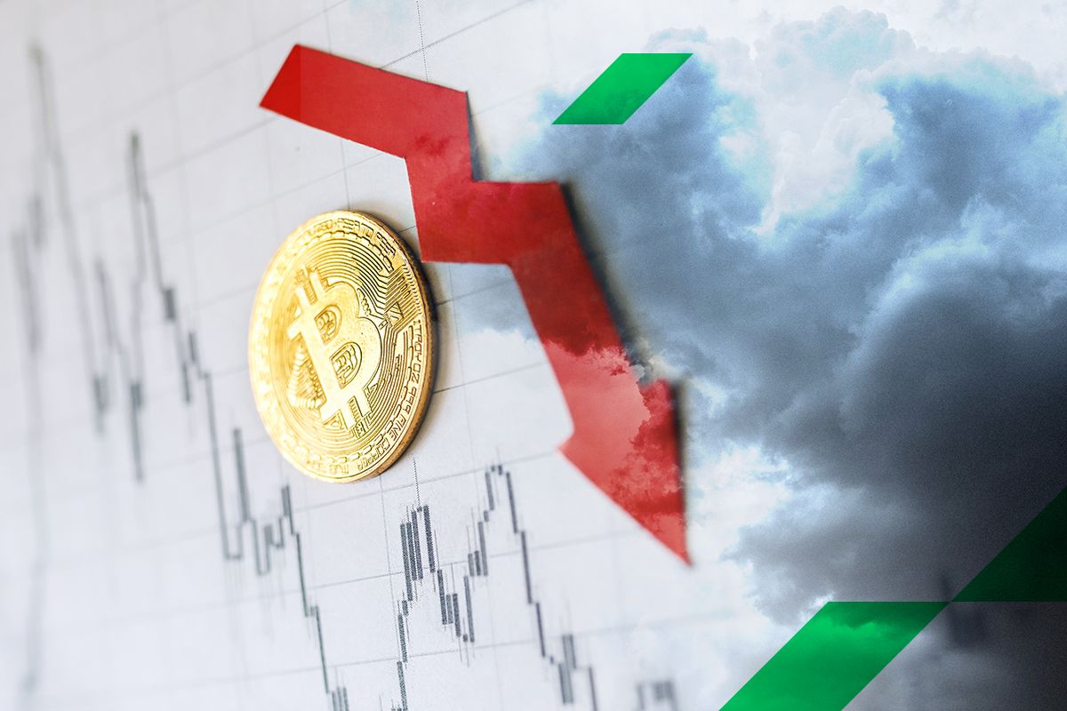 How High Will Bitcoin Cash Go - Bitcoin Cash Bch Technical Analysis Bch Solid Despite Sellers Technical Analysis Bitcoin Technical / Unlike other crypto projects that have clear leadership, bitcoin is truly decentralized.