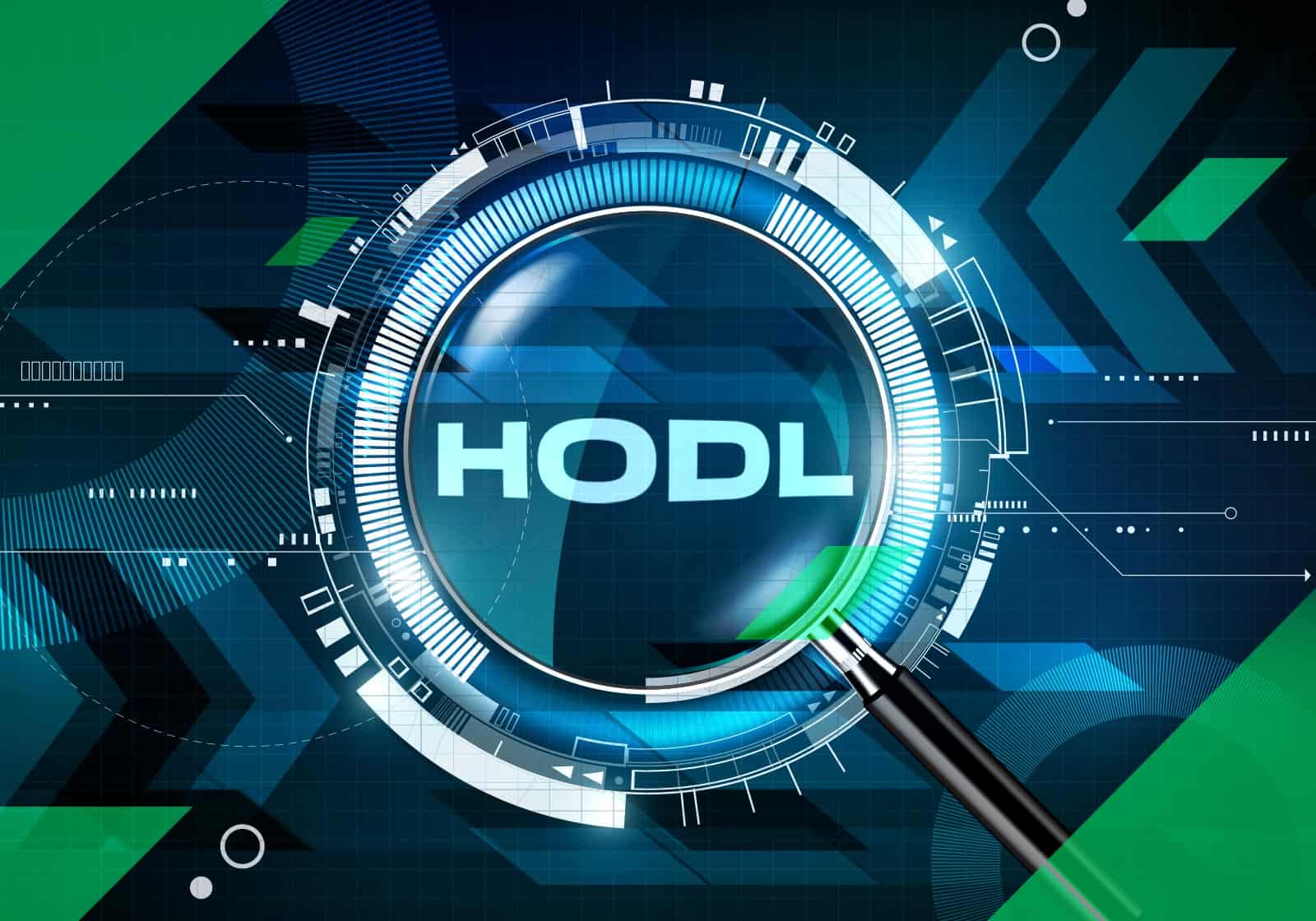 Hodl And Hodler Meanings In Cryptocurrency Stormgain