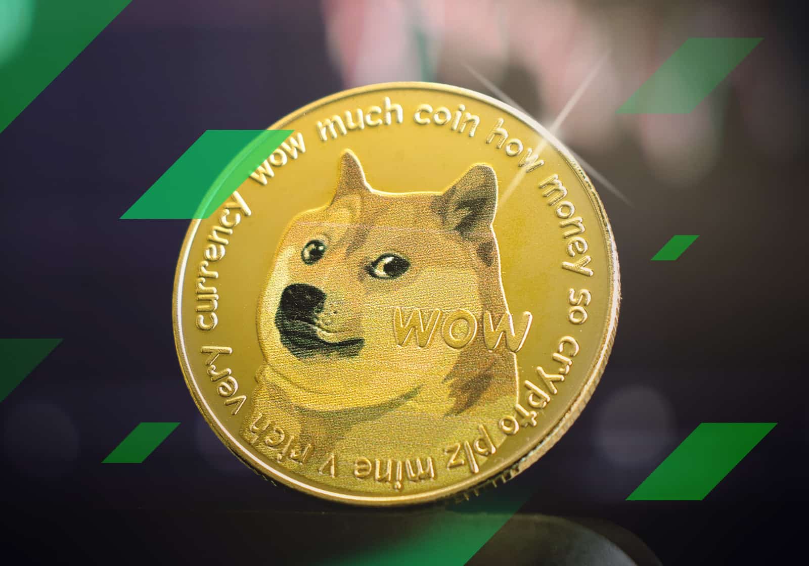 Will Dogecoin go back up StormGain