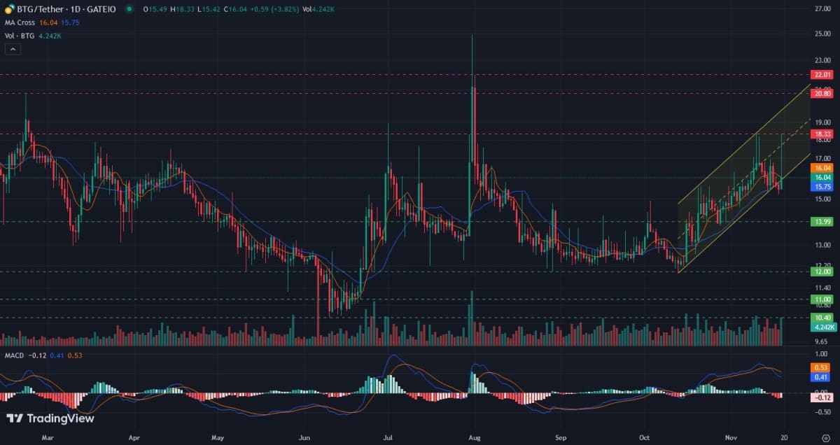 BTG/USDT daily logarithmic chart