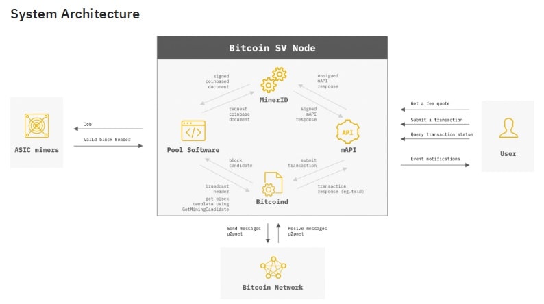 BSV's system architecture.
