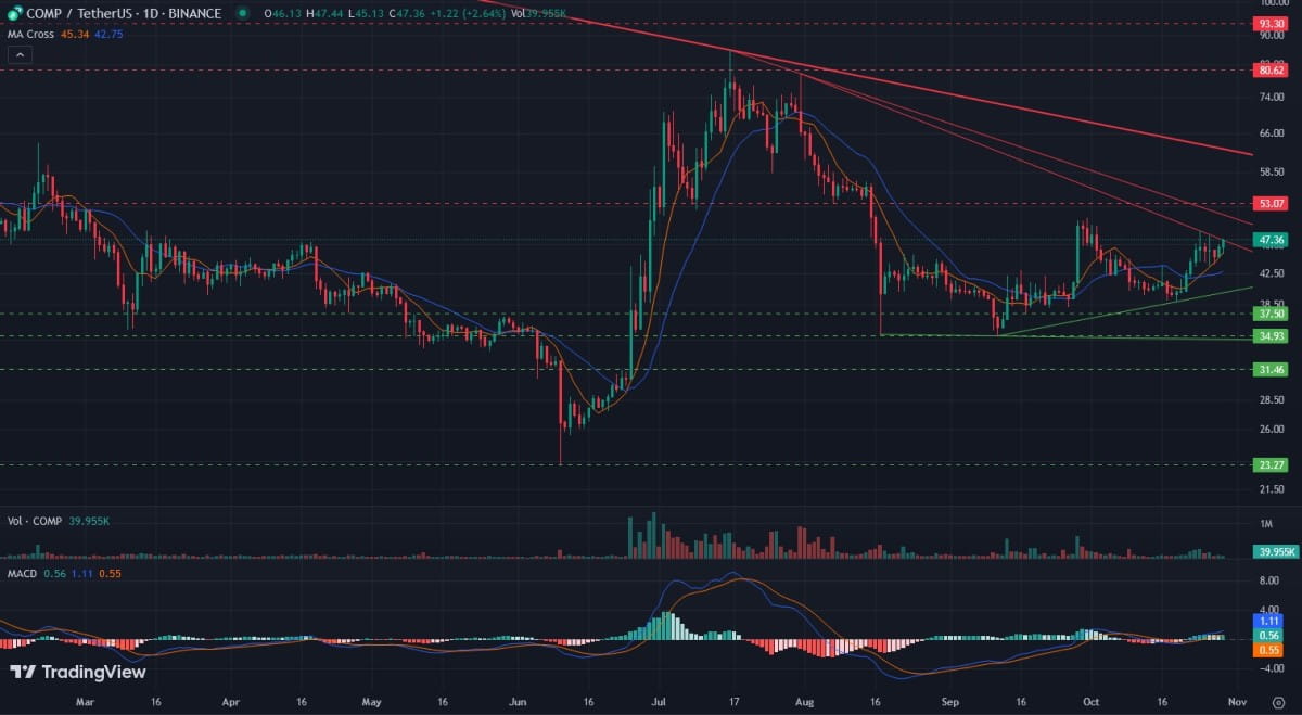 COMP/USDT daily logarithmic chart