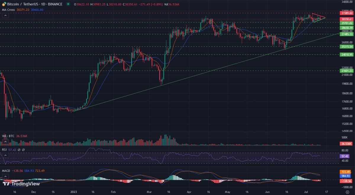 BTC/USDT daily logarithmic chart