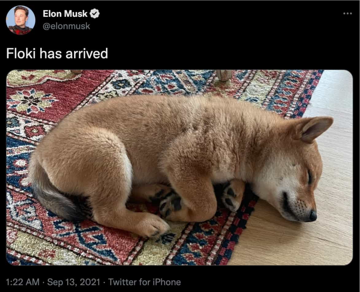 Floki Tweet by Elon Musk