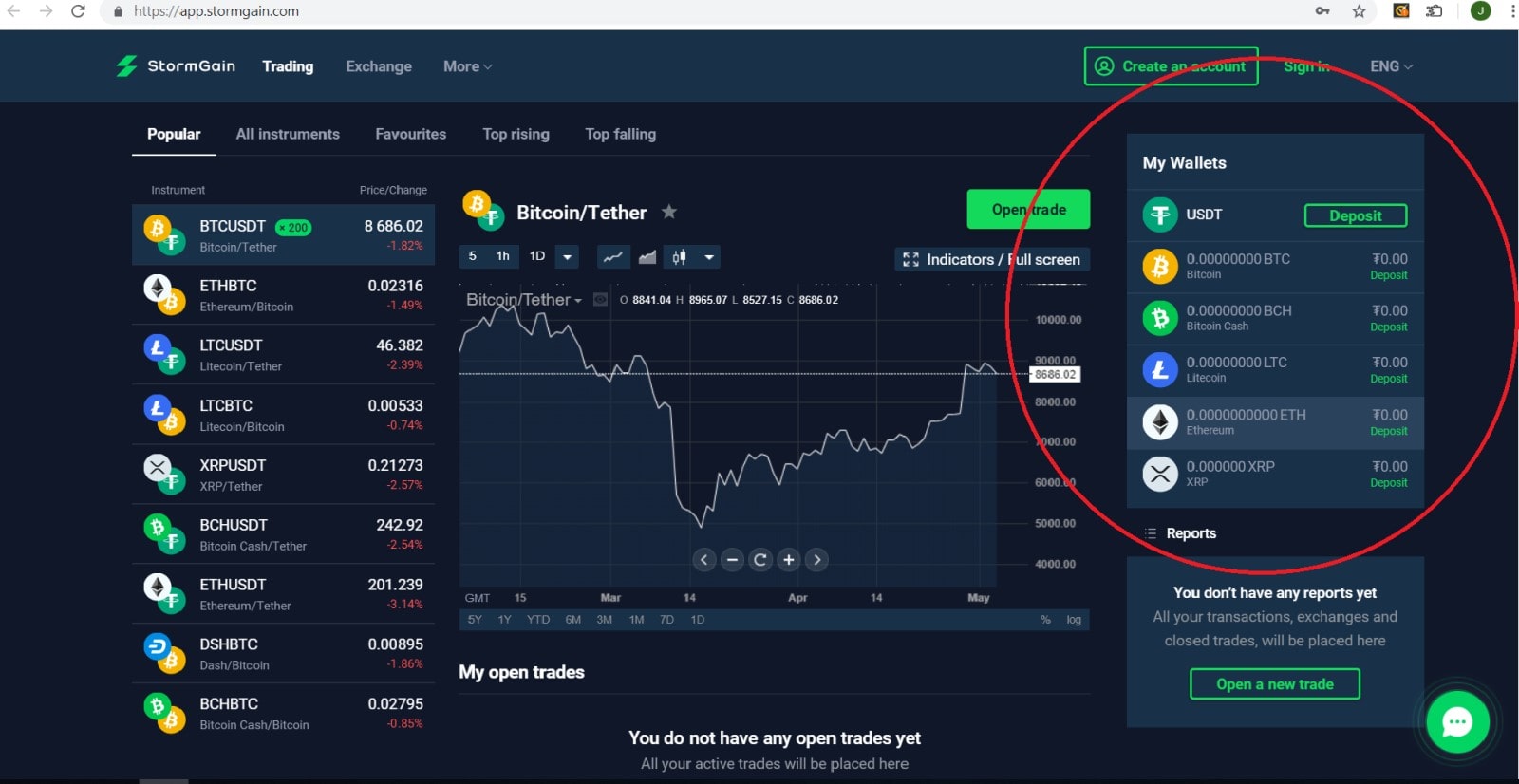 Вид боковой панели кошельков в терминале StormGain