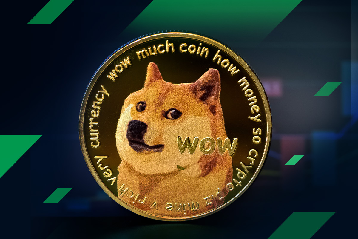 What s the future of DOGE after Musk s Twitter takeover StormGain