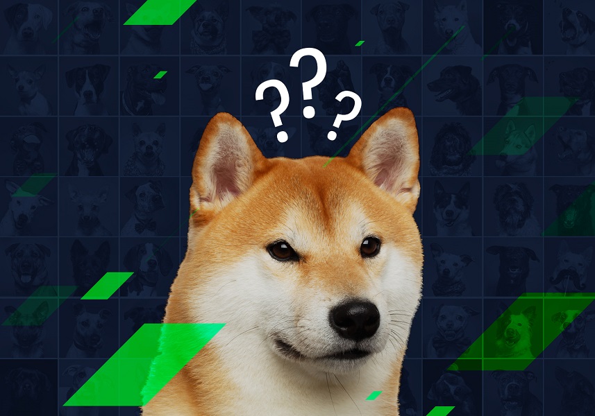 shiba inu meme