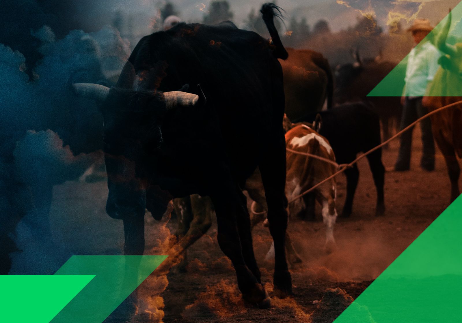 Handelaren zetten zich in voor een Bitcoin-bull run omdat de prijs naar verwachting zal stijgen