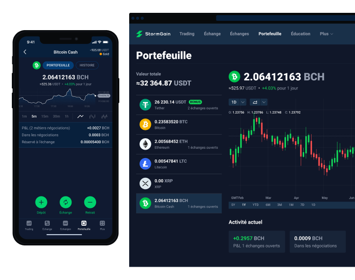 Bitcoin Cash (BCH)