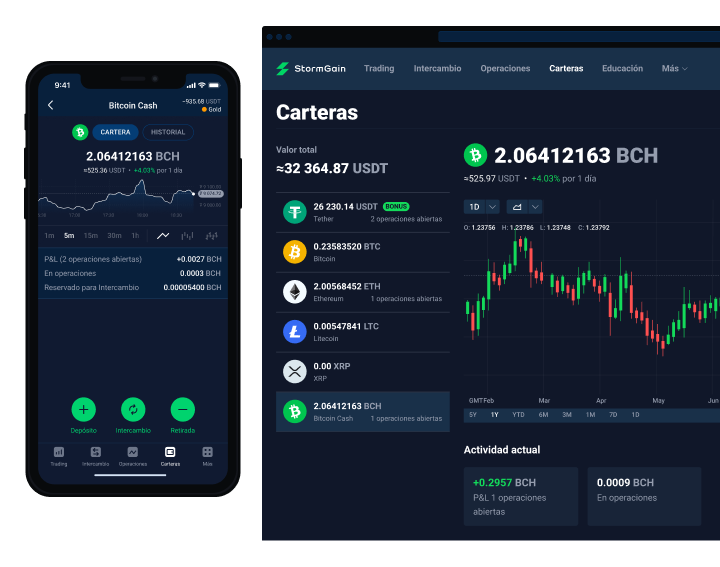 Bitcoin Cash (BCH)