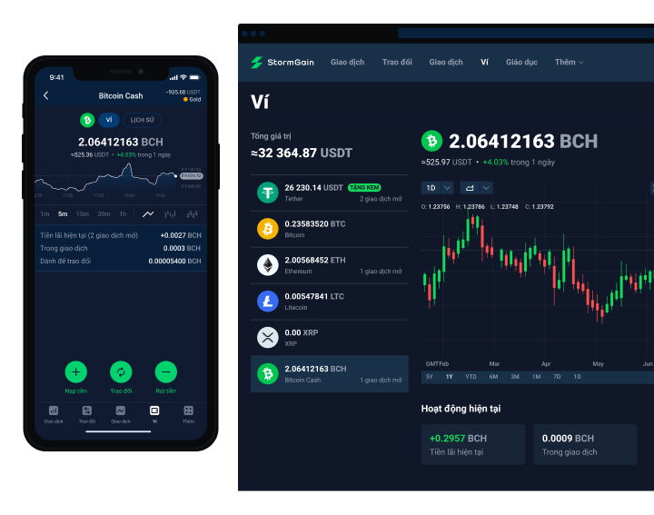 Bitcoin Cash (BCH)