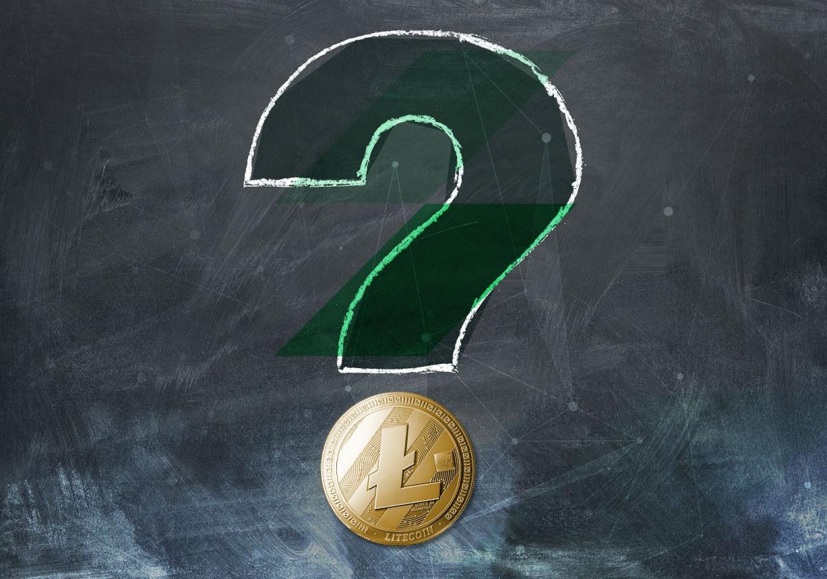 Qué es Litecoin? Historia, propósito, precios y diferencias con Bitcoin |  StormGain