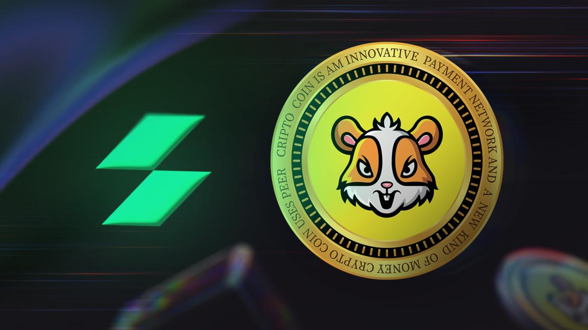 Hamster Kombat Coin Price Prediction & Post-Listing Trends | StormGain