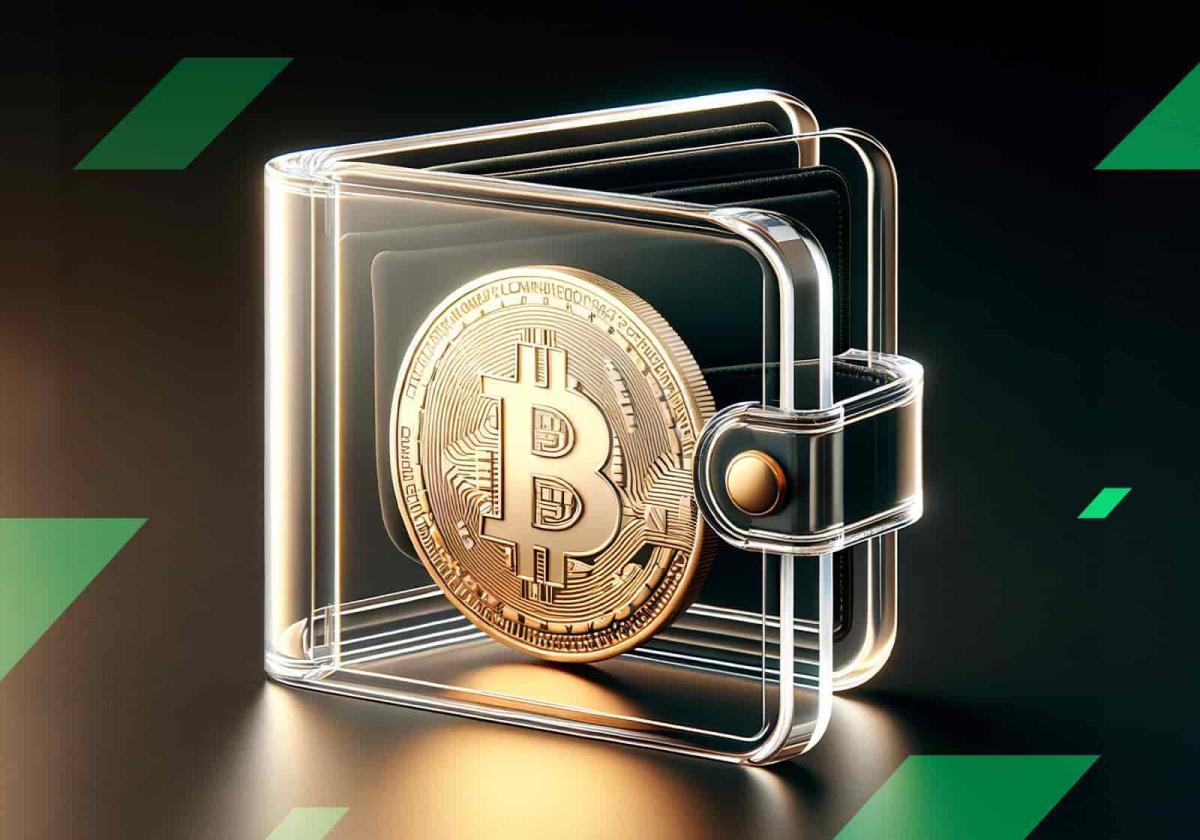 Crypto Wallet History and Future Trends | StormGain