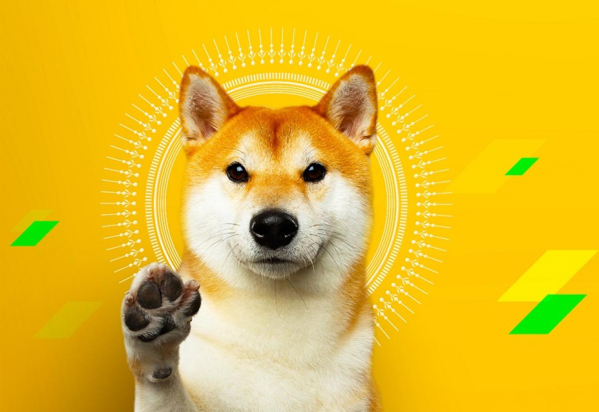 Dogecoin DOGE người mua có thể tận dụng sự phá vỡ mô hình này để mang lại  lợi ích cho họ  Tin Tức Bitcoin 2023