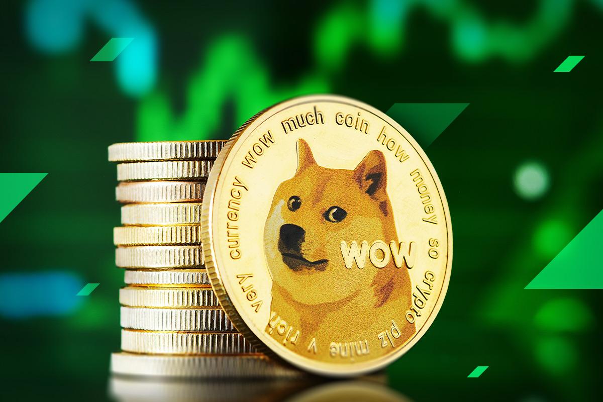 Vì sao Dogecoin có thể là đồng tiền đáng chú ý của năm 2024 | StormGain