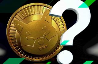 Shiba Inu coin (SHIB)