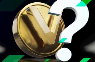 VeChain (VET) coin
