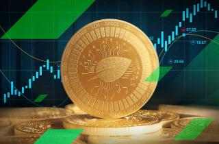 Chia (XCH) Price Prediction