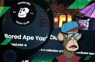 What Is the Bored Ape Yacht Club?