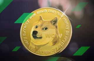 Will Dogecoin Survive