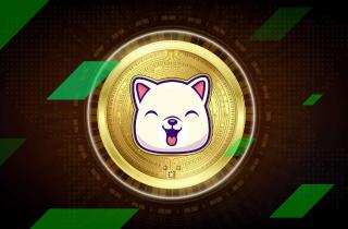Kishu Inu (KISHU) Price Prediction