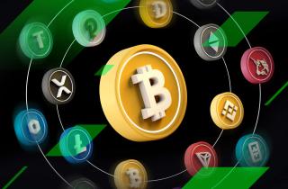 Most Decentralised Crypto List