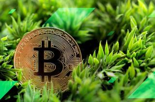 Green Cryptocurrency