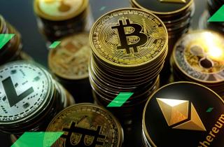 cardano-dropped-out-main