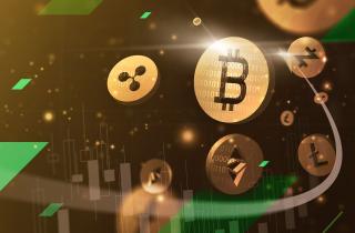 How Much Risk Should You Take