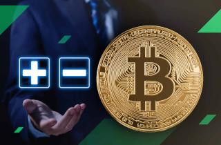 Pros and Cons Cryptocurrency Investment