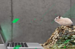 crypto-hamster