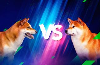 doge-vs-shib