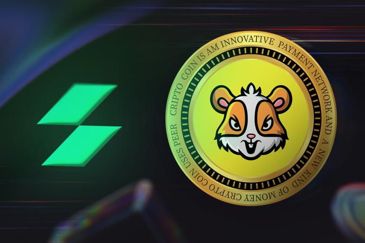Hamster Kombat Coin Price Prediction