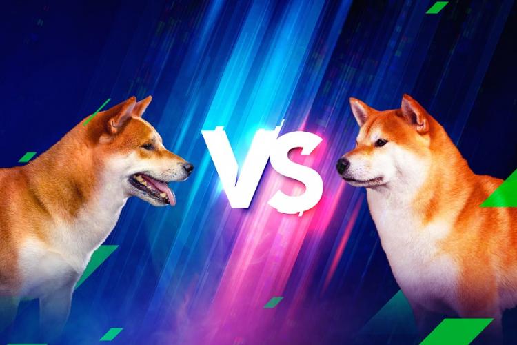 doge-vs-shib